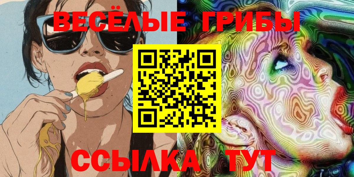 Псилоцибиновые грибы MAGIC MUSHROOMS  Псилоцибиновые грибы прущие грибы  Павлово  Вход с VPN 