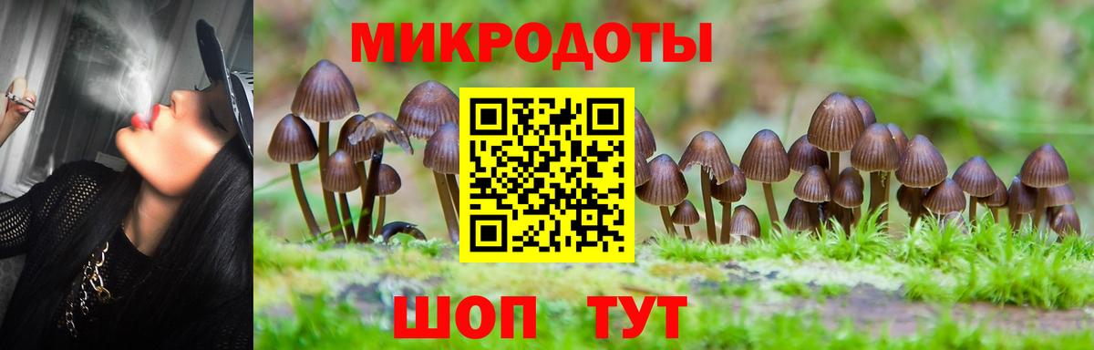 Псилоцибиновые грибы Psilocybine cubensis Павлово